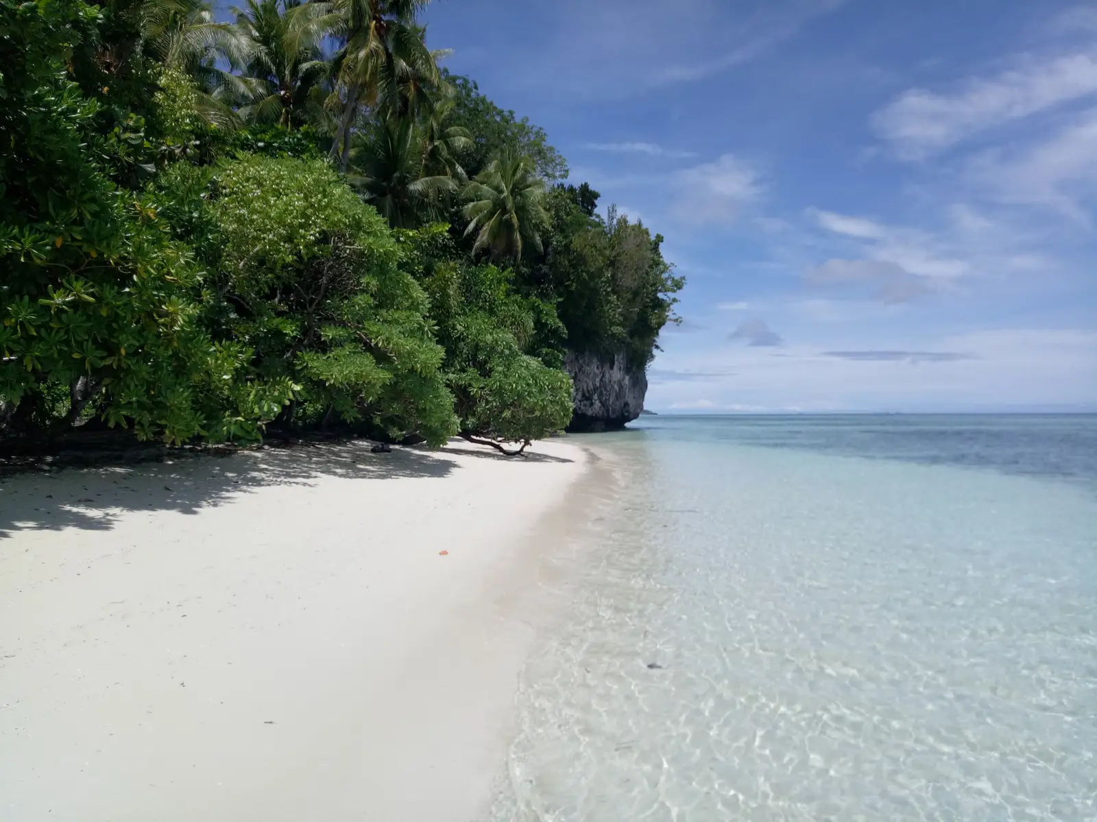 An empty white sand beach on Kri island backed by jungle