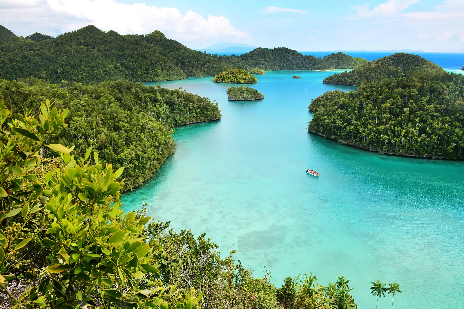 Turquoise lagoon enclosed by forested limestone islands