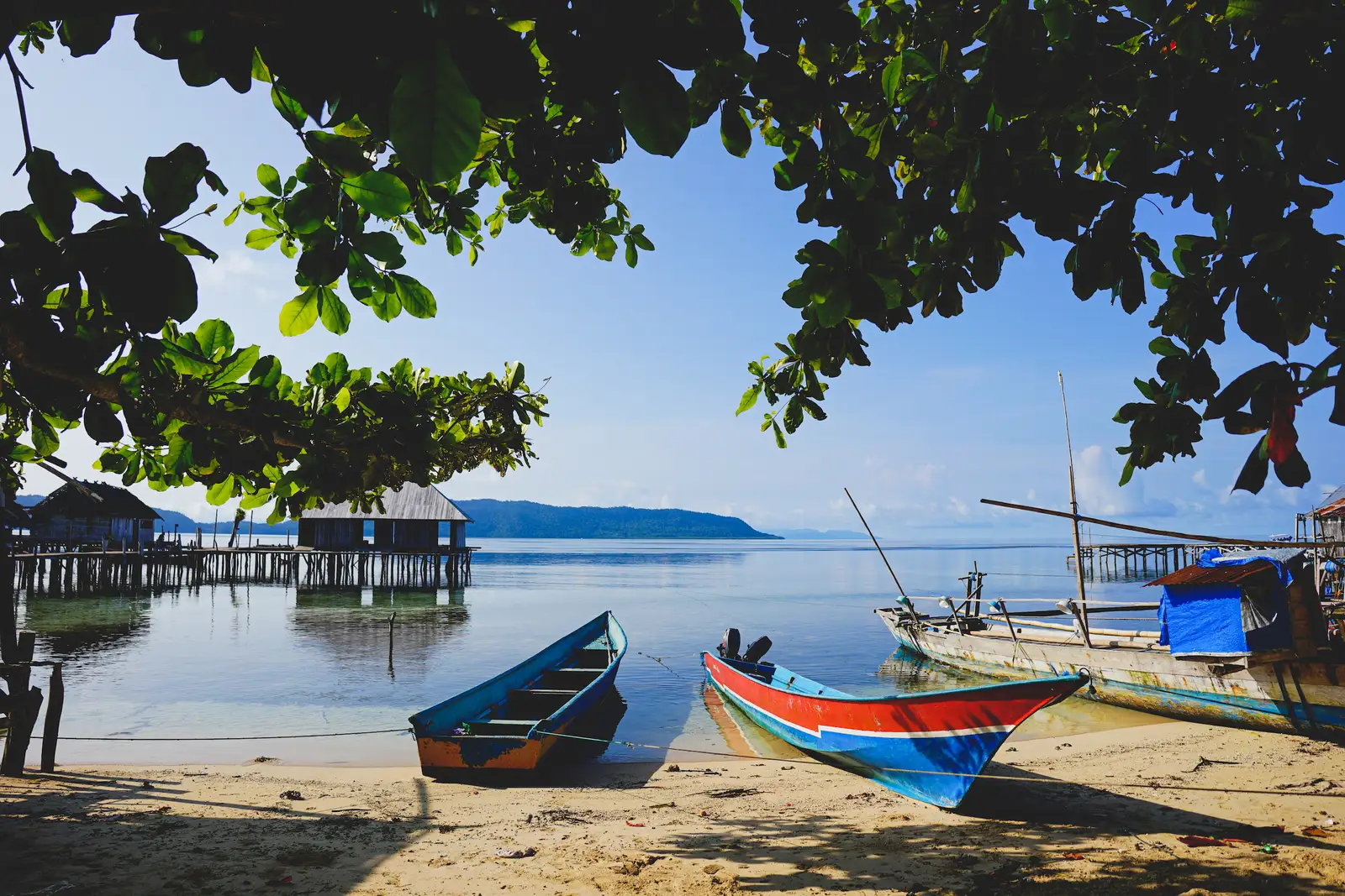 Wooden longboats drawn up on the beach at Sawinggrai village