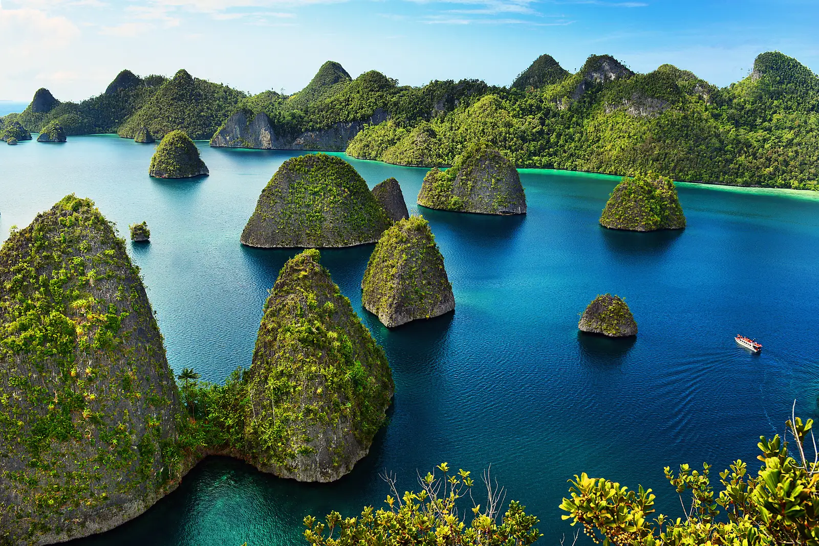 Cone-shaped limestone islets rising from deep blue water in Raja Ampat