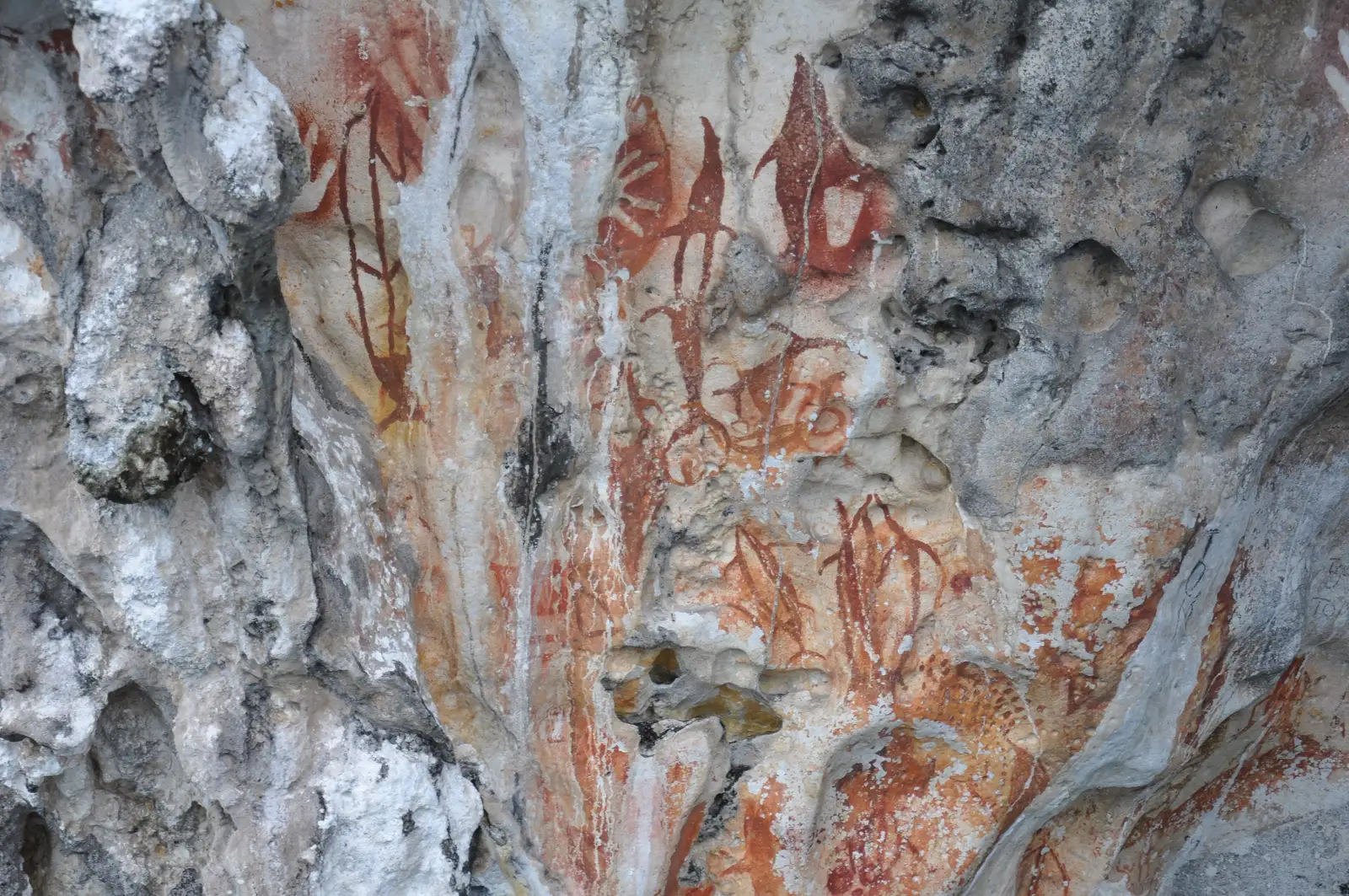 Ancient red hand and fish rock paintings on a Misool limestone wall