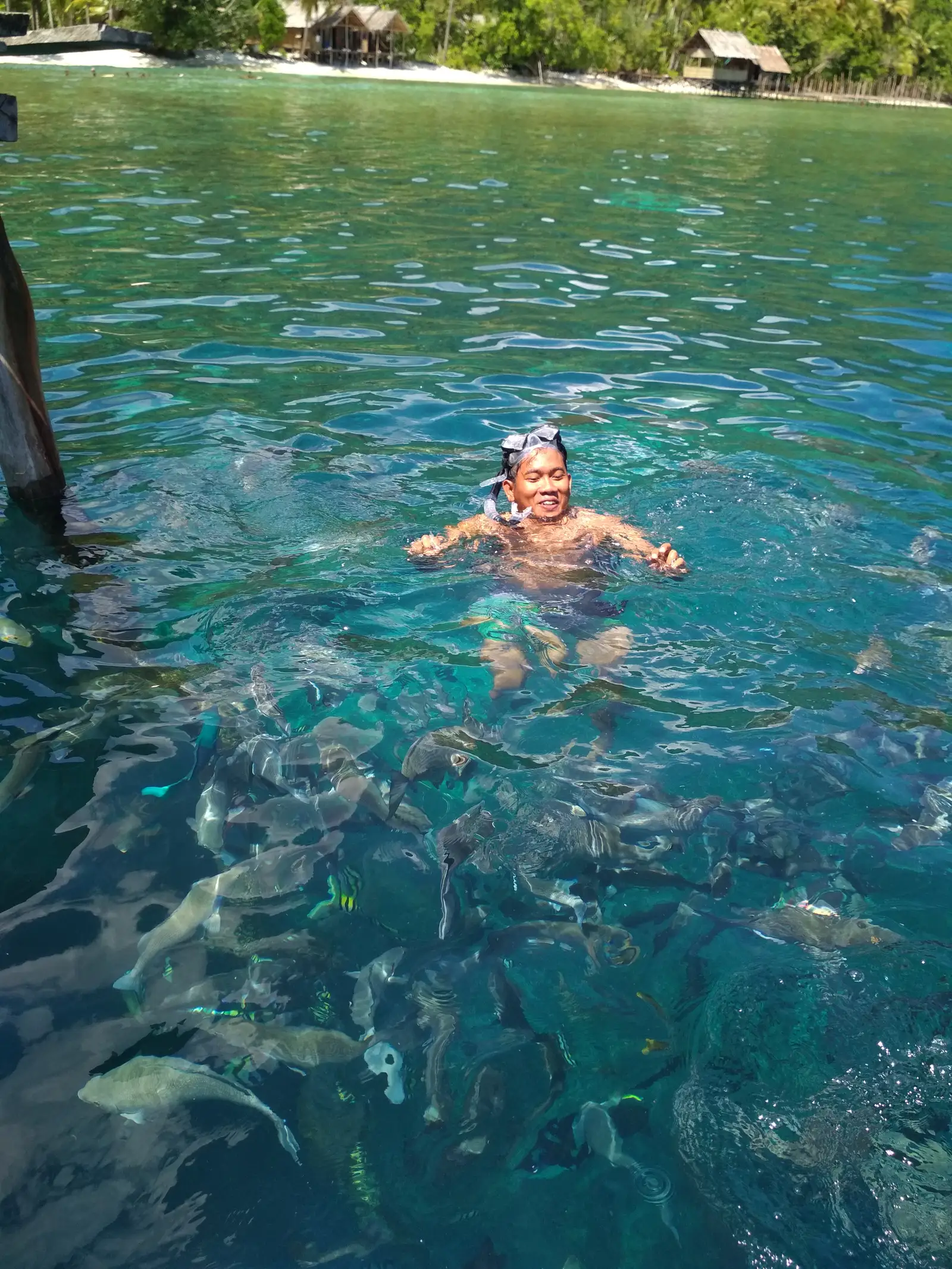 A snorkeller at the surface surrounded by a dense school of fish off a village jetty
