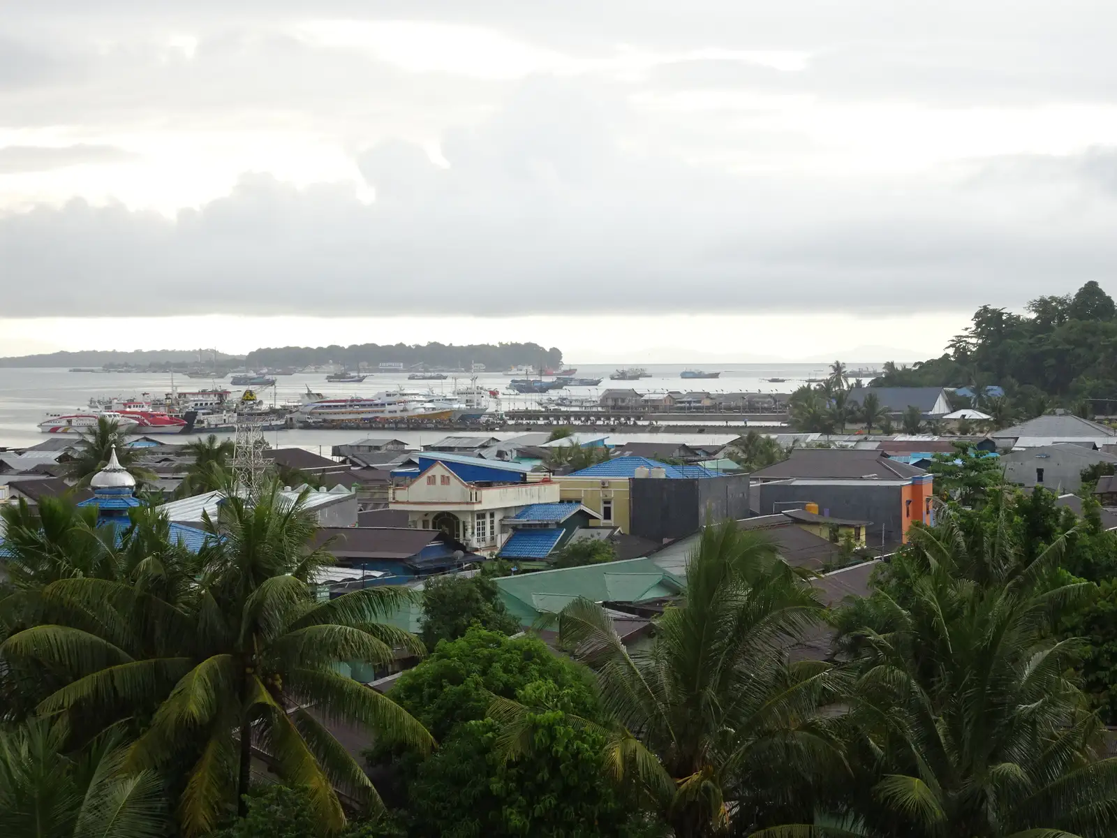 Rooftops and palms across the town of Sorong