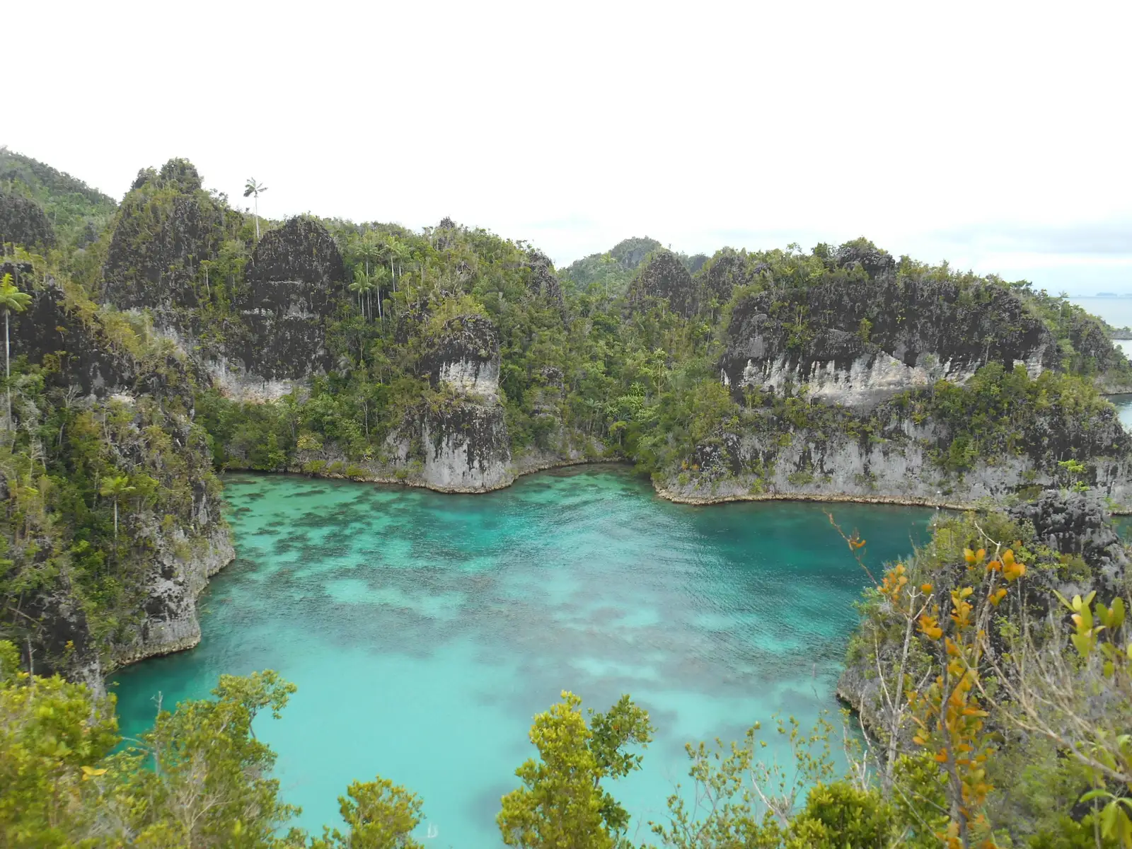 The star-shaped lagoon at Telaga Bintang seen from the ridge above