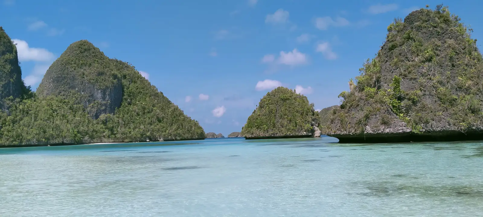 A wide bay at Wayag enclosed by forested limestone ridges