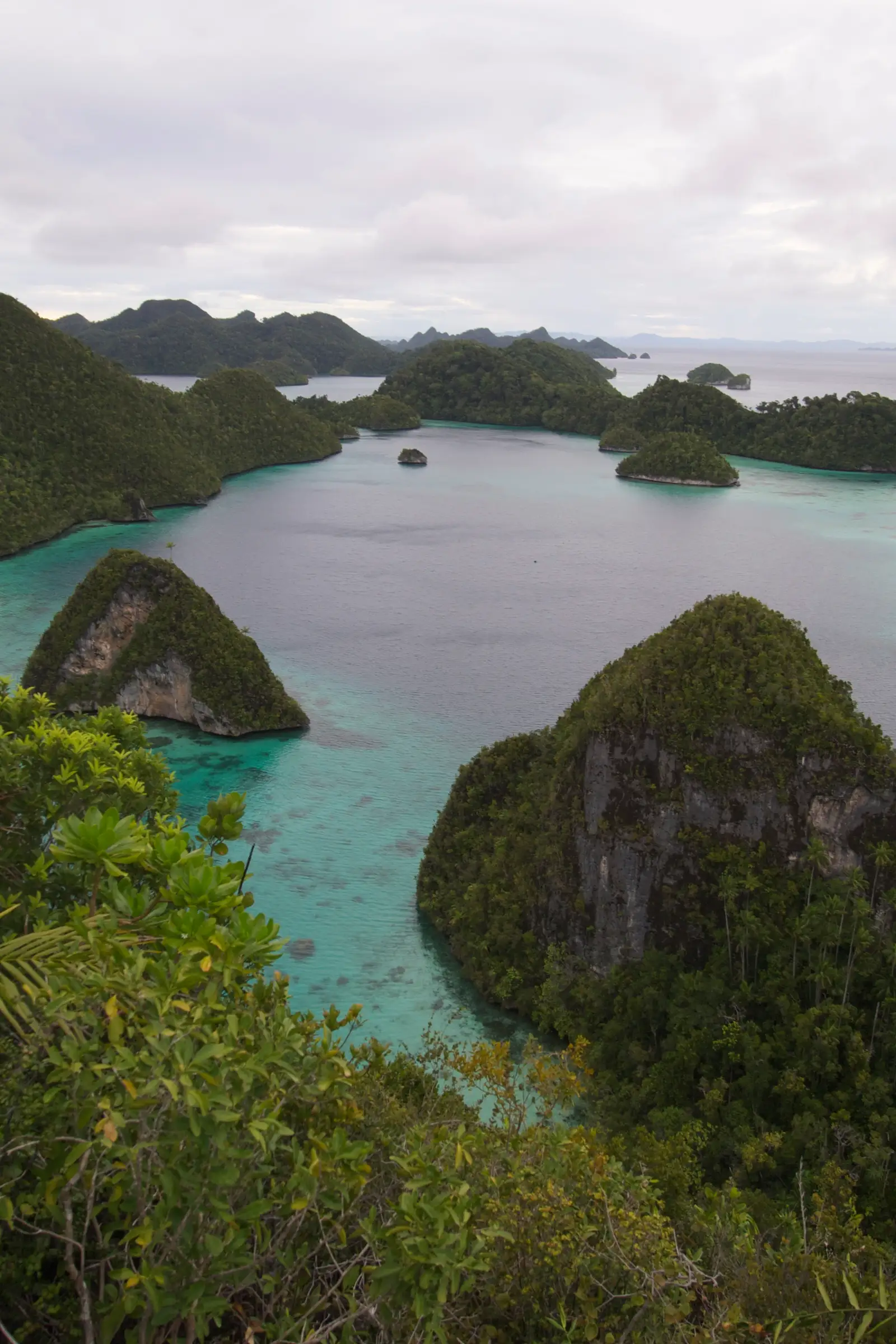 Steep limestone islands at Wayag seen through foreground jungle